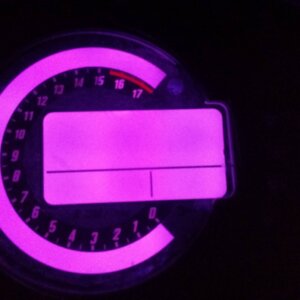 LUGK101 PURPLE LUGK101 PURPLE